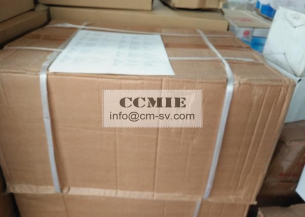 XCMG Road Roller Spare Parts Hydraulic System of Filte 803164589 for XS203