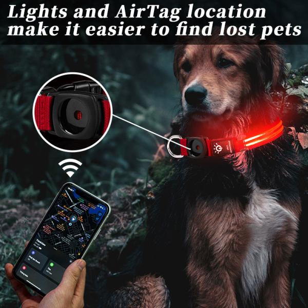 Collar para perros LED Inodoro Perros medianos y grandes Portador de AirTag Flash Light Up Diseño de logotipo personalizado