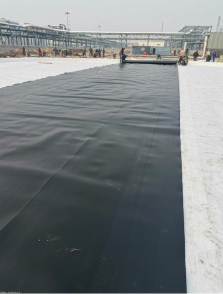 1m-8m Width HDPE Geomembrane for Pond ASTM GM13 Standard 0.5mm Fish Farm Pond Liner
