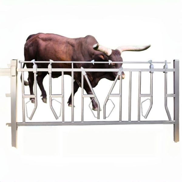 Cow Headlock-Double Opening(For Long Horn Cattle)