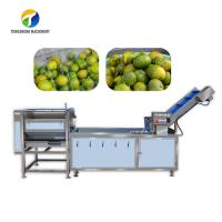 Chaîne de fabrication adaptée aux besoins du client évacuation des eaux d'égout de fruits et légumes d'agrume de traitement d'impuretés