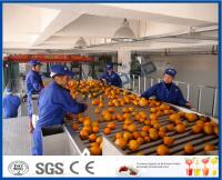 Equipamento de processamento do suco de fruto com citrino/tangerinas/máquina extrator do suco de laranja