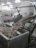 Durable 2200W équipement de transformation de fruits de mer résistant à l'usure 300KG