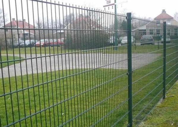 O PVC revestiu a segurança do jardim do fio do gêmeo Q195 que cerca 8/6/8 6/5/6 de OEM