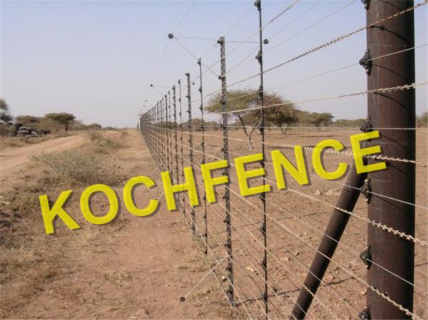 Low Carbon Steel Barbed Wire Fence Long Use Life Solarization Resistance