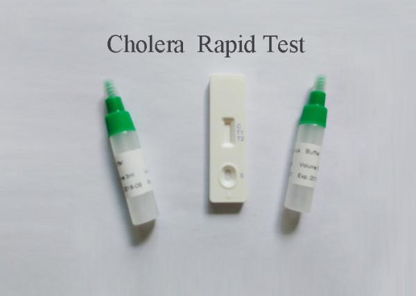 High Accuracy Home Blood Test Kit  Detect Cholera Ag Antigen 5 Mins Reading Time