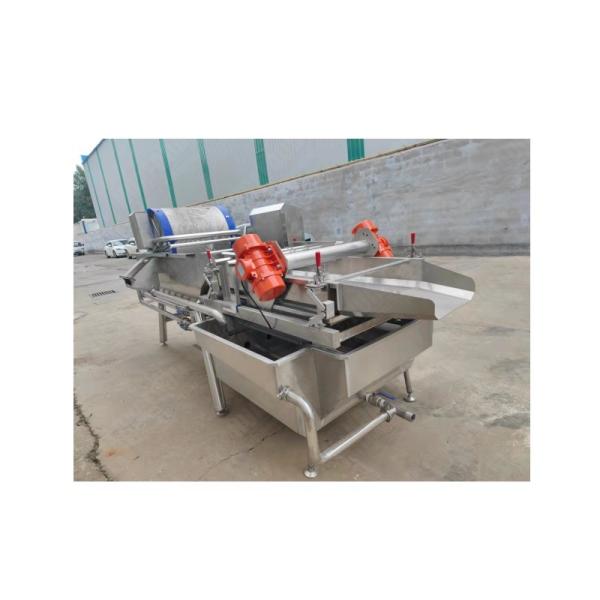 Vegetable washer machine fruit and vegetable bubble cleaning machine fruit washing machine vegetable dryer