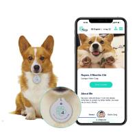 Etiquetas personalizadas Editables Actualizadas NFC personalizadas Etiquetas NFC en blanco de seguimiento de mascotas epoxi