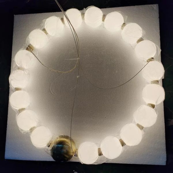 Round Ring Hanging Lamp Frosted Ball Ceiling Chandelier High Quality Living Room Dining Room Hanging Light (WH-AP-666)