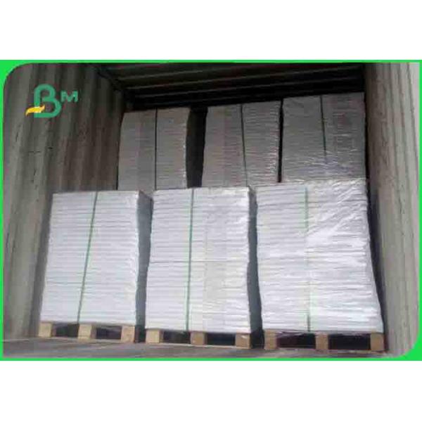 Eco Friendily Plain Glossy Coated Paper / Offset Printing Paper