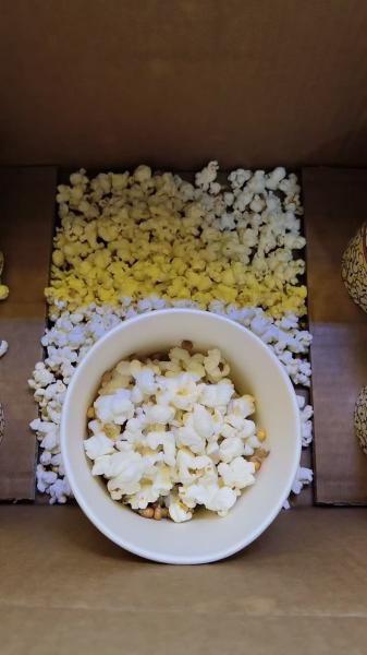 Coin Operated Game Machine Bao Bao Bear Popcorn Machine