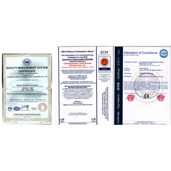 LS Type 20 Ton  Snatch Block Construction / Ship Building Use