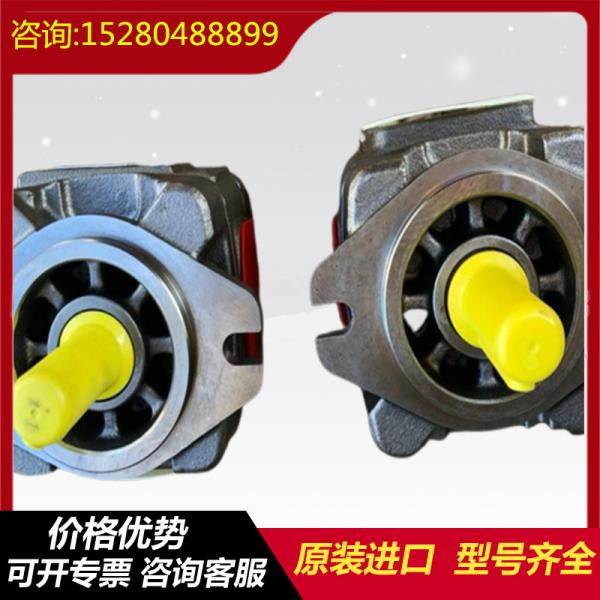 PGH4-3X/050RR11WU2 PGZ4-1X/032RT07VB2R901230026 Pompe à huile haute pression de la série PGH de Rexroth