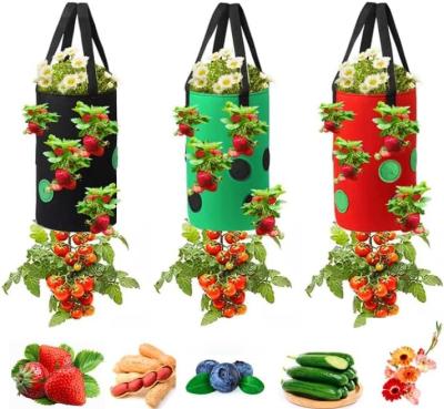 Strawberry Grow Bags, No Gauze Growing Bag, Hole Upside Down Planter Handling Planter Bags, Planting Strawberries