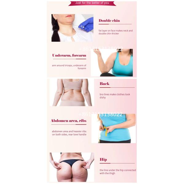 Потеря веса впрыски липолиза Ppc жирной обработки удаления жирная растворяя