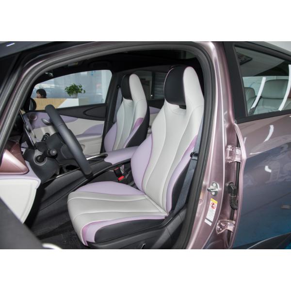 Berline électrique 5 portes 5 places BYD Dolphin 2021 401km Knight Edition