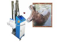 impresora de la pared de 5d Art Painting Wall Printer Uv para la pared mural