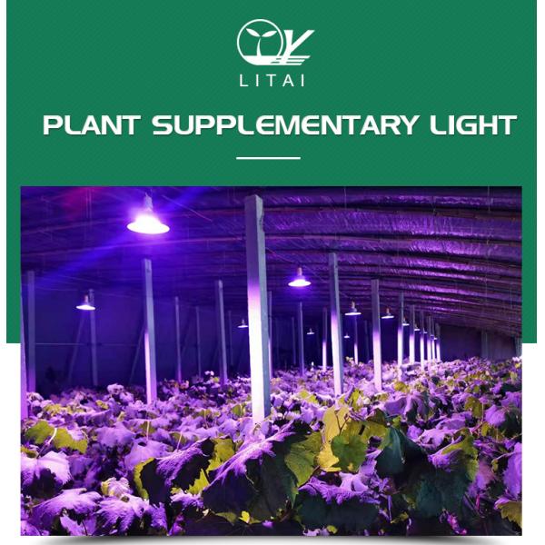 Тепличные насаждения 36W/50W полный спектр светодиодный свет с высокой световой эффективностью