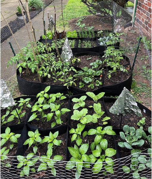 Fabric Raised Garden Bed 6x3x1ft Garden Grow Bed Bags for Growing Herbs, Flowers and Vegetables 128 Gallon