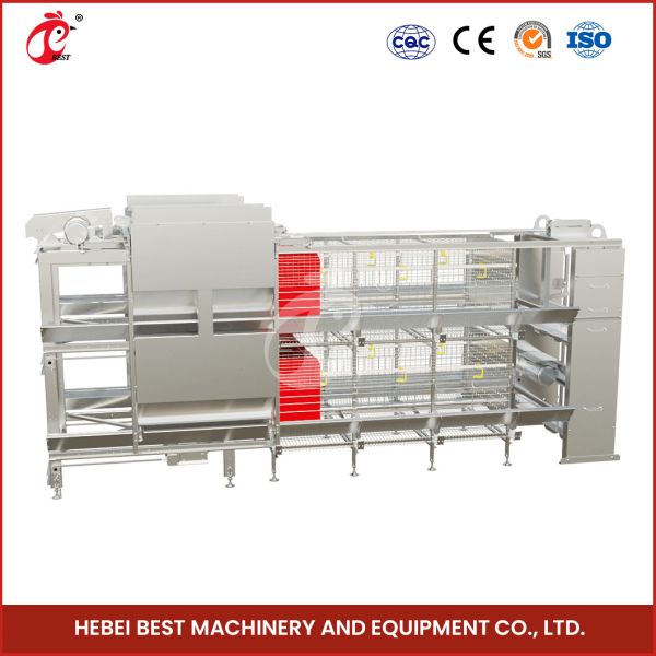 12 Cells A Type Broiler Chicken Cage With 3 Tiers Fast Shipping Mia