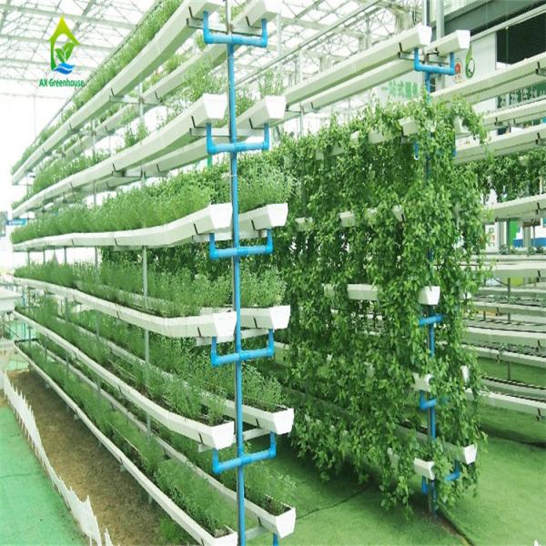 90 sistema hidropônico Soilless da tubulação dos locais 10