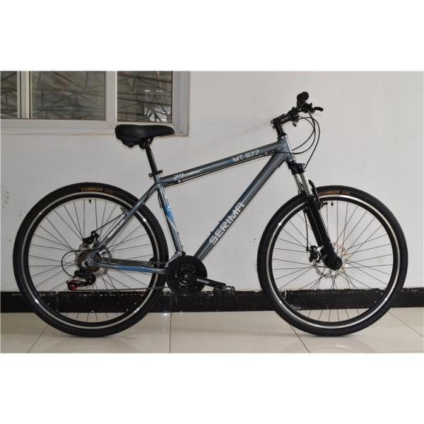 Made in China CE standard 29 inch steel 21 speed mountain bike MTB bicycle/bicicle