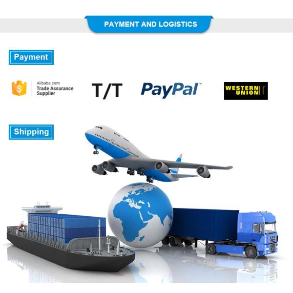 10Liters 300Watts Electronics Ultrasonic Cleaner