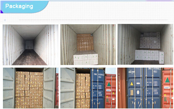 Chloramphenicol Capsules 1000′s/Bottle GMP western finished Medicine, BP/USP/CP standard