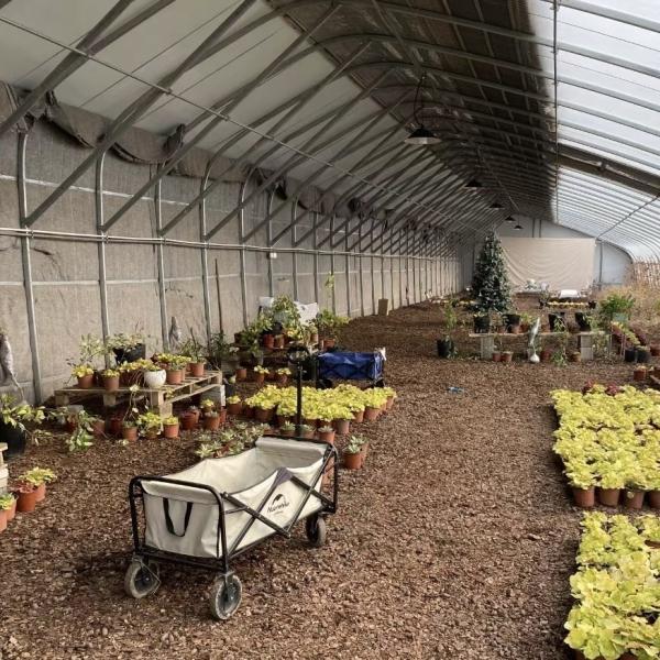 Аквапоника Цветочные насаждения Спарри Ирригация овощи Солнечный свет Теплица для коммерческих целей