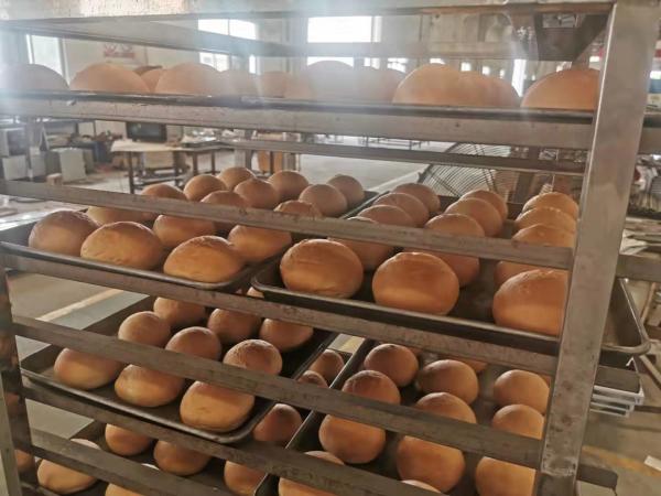 Gás elétrico giratório Oven Baking Equipment Rack Oven diesel das bandejas do anúncio publicitário 32