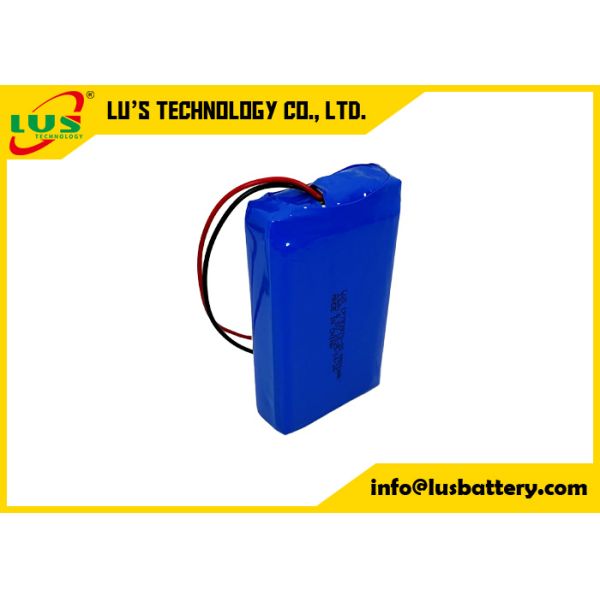 Li-MnO2 Pouch Cell battery 6volt 5500mah CP783970-2S Lithium battery customized