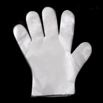 Professional Large Disposable Gloves Food Service / Plastic Gloves For Food Preparation