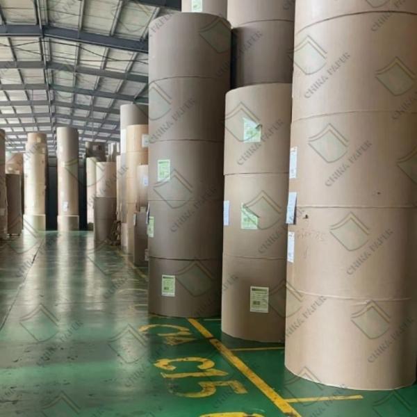 FDA Grade Liquid Packaging Board In Roll Lpb Milk Packaging Board 200-300GSM