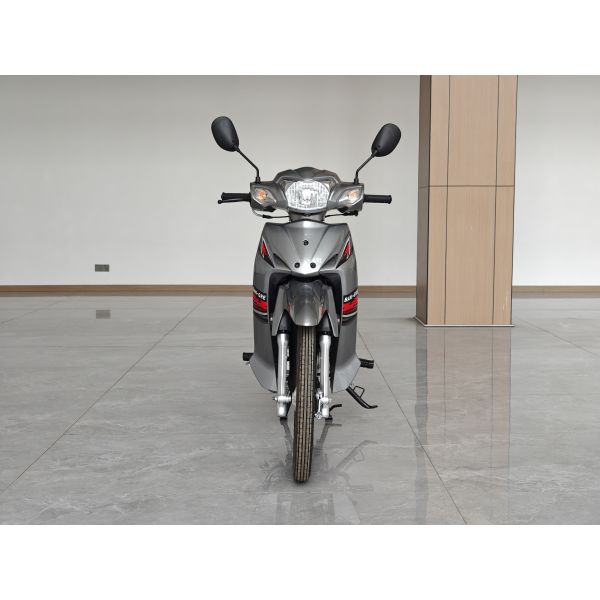 YH110T-2 CUB 110cc Dual-Clutch Honda Suzuki Yamaha Bajaj TVS