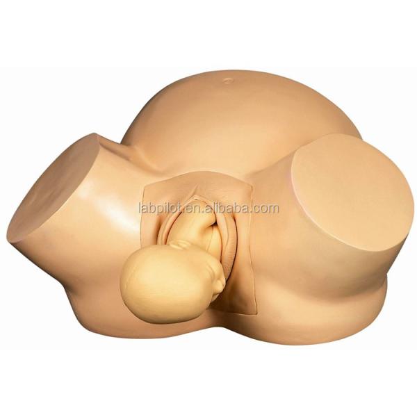 Vacuum Extraction Birthing Simulator for Midwifery Training Patients Care Demonstration