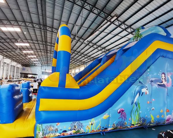 ROHS Commercial Inflatable Slide Children Bounce House In Backyard