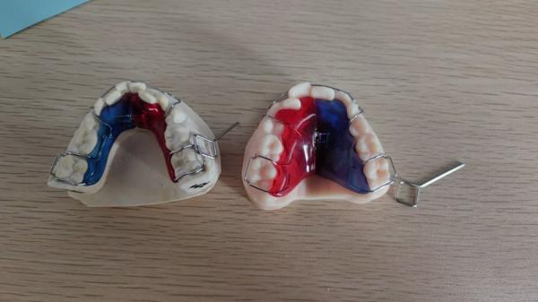 High Durability Dental Implant Case Artificial Implantation Cases for Dental Professionals