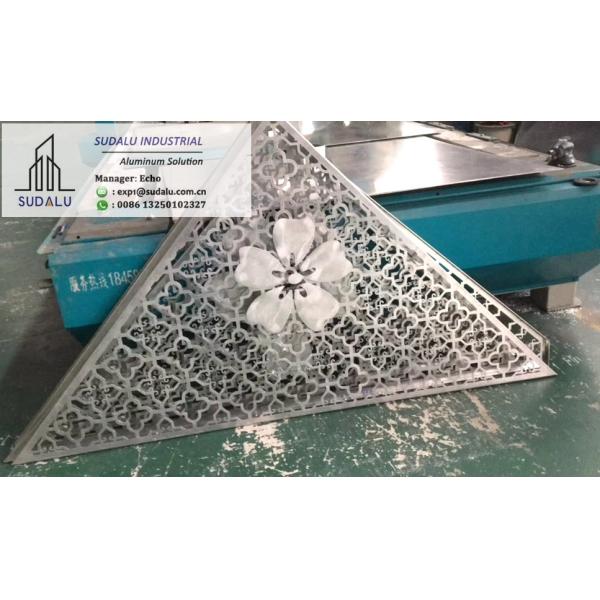 SUDALU OEM Perforated Curvel Panel Outdoor/ Interior Artistic Aluminum Panel Design for Facade Cladding