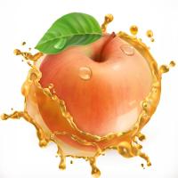 Réduction en pulpe automatique de SUS304 Juice Extractor Machine For Apple