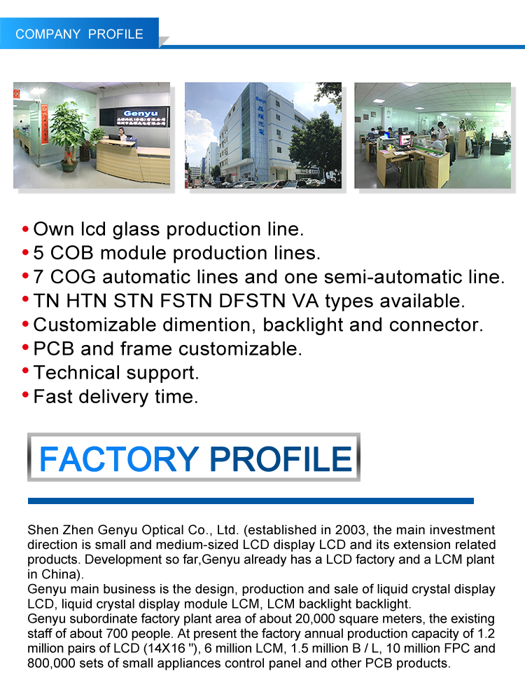 Genyu 160*32 Dot Matrix LCD Screen with ST7525 Driver IC and FSTN Positive Display for Car Applications