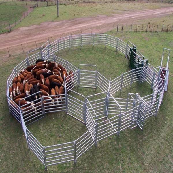 Hot Dipped CE ISO Cattle Rail Panels 5.8m-12m Q235 Q345 Oval Type