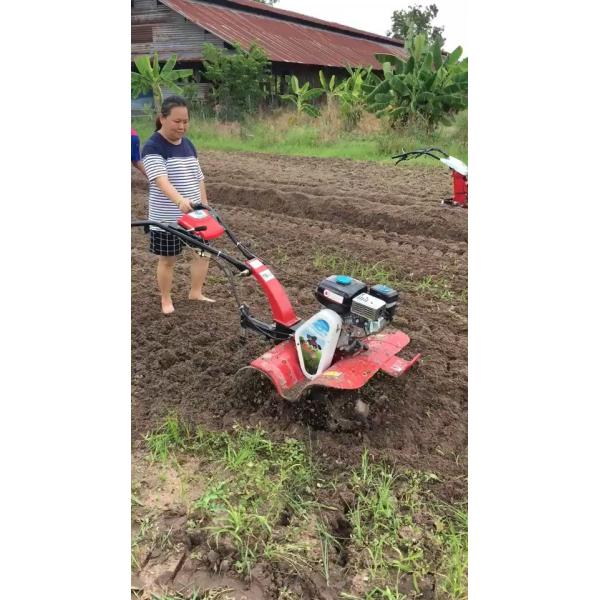 Gasoline Engine Mini Power Tiller for Agricultural Equipment at 4KM/H Work Speed