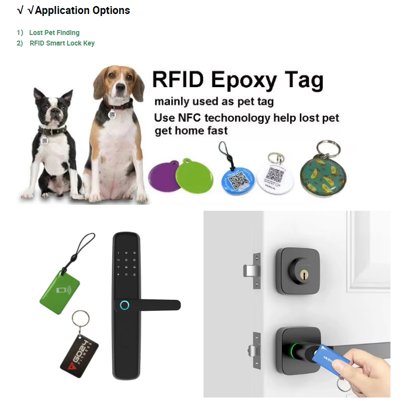 Custom 13.56MHz Programmable NTAG213 Smart Epoxy Keyfob Tags RFID Tag NFC Keychain