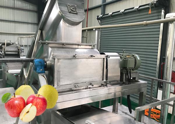 Food Standard SUS 304 Apple Processing Line Cold Press Fruit Juice Processing Line