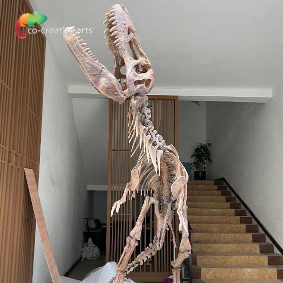 Waterproof Fiberglass Dinosaur Skeleton Replicas For Museum Exhibition