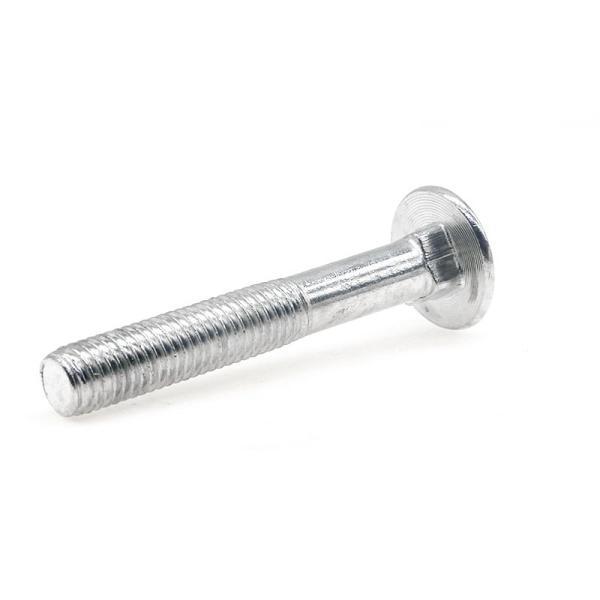 Customized carriage screws