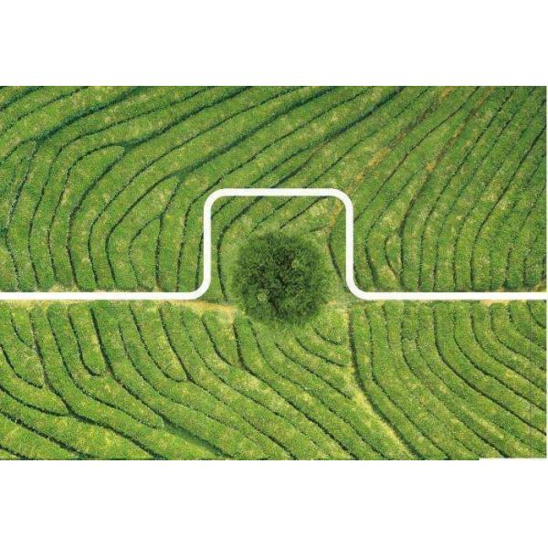 Automatic Uav Crop Drone Rain Proof Convenient Easy To Maintain