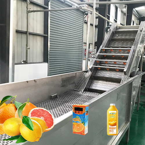  Complete Citrus Processing Plant | Turnkey Machinery for Orange Juice, Puree & Lemonade
