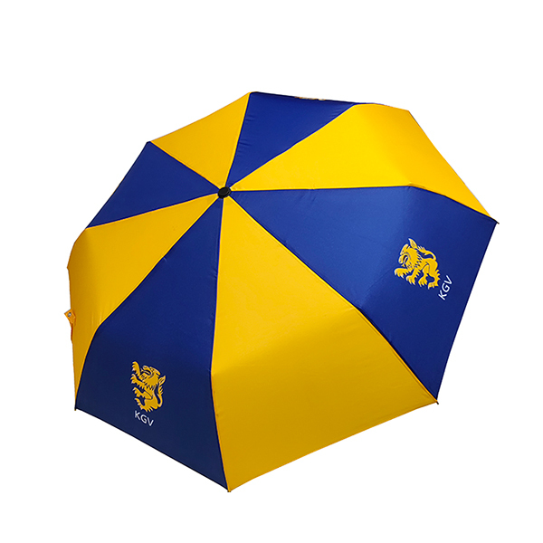 21 Inch Sublimation Printed Aluminum Frame Promotional Folding Umbrella for School Charity Fundraising