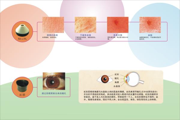 ODM Skin Scanner UV Analysis Machine / Skin And Hair Analyzer Machine